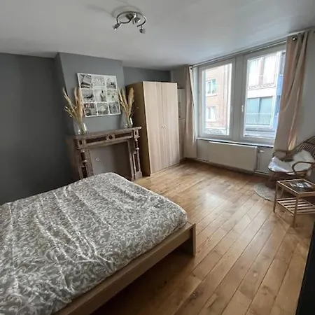 : Superbe Vue Sur La Meuse * Dinant