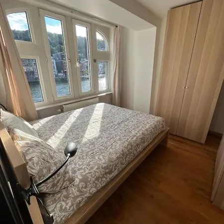 : Superbe Vue Sur La Meuse Dinant